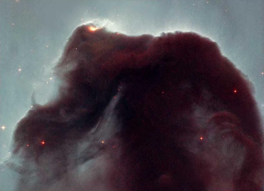 La nébuleuse de la Tête de Cheval — photo d'astronomie